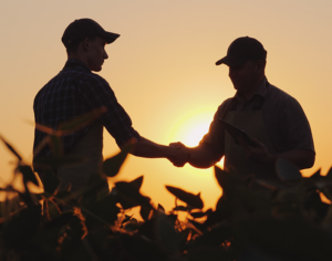 farmers in the fields